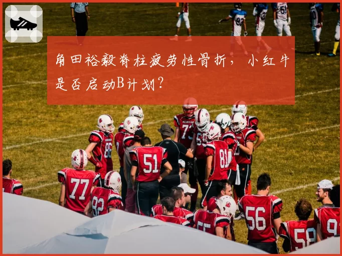 角田裕毅脊柱疲劳性骨折,小红牛是否启动B计划?