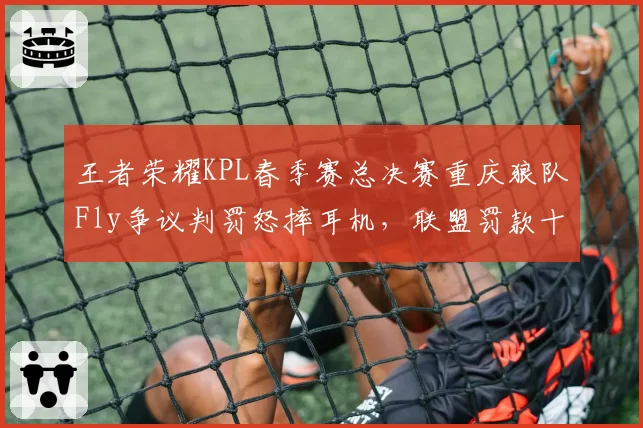 王者荣耀KPL春季赛总决赛重庆狼队Fly争议判罚怒摔耳机,联盟罚款十万元