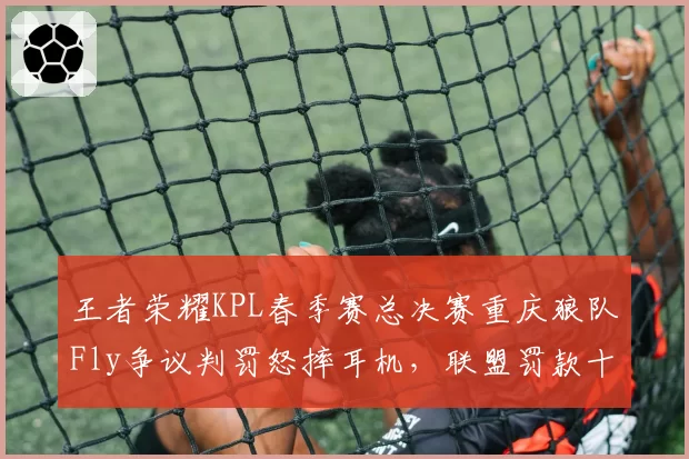 王者荣耀KPL春季赛总决赛重庆狼队Fly争议判罚怒摔耳机，联盟罚款十万元